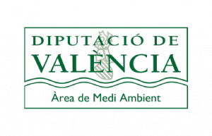 logo-7